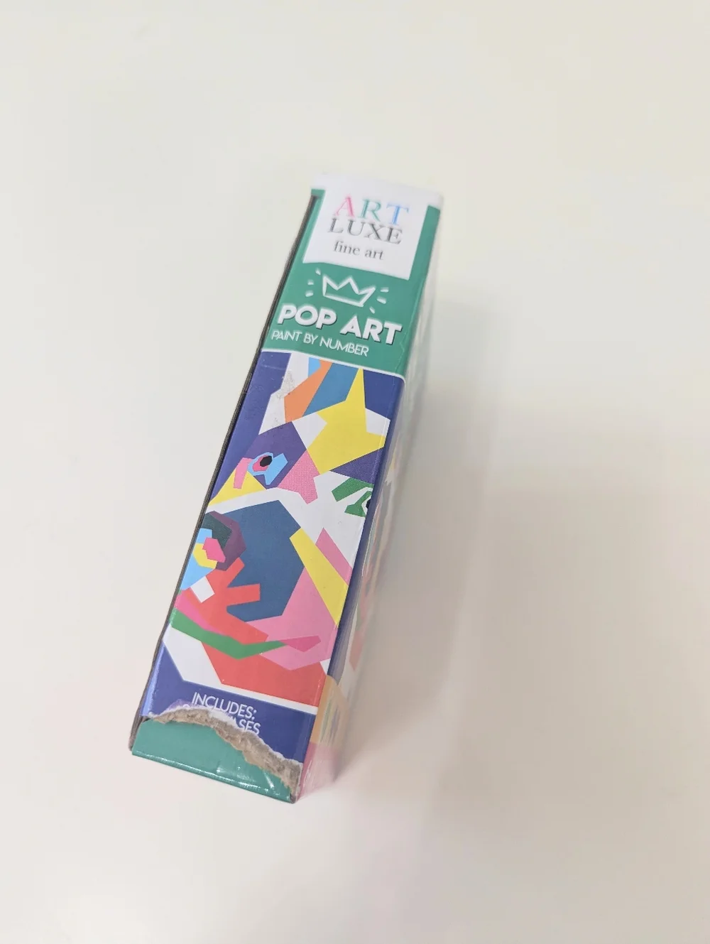ArtLuxe Pop Art Paint-by-Number Kit in Multicolor